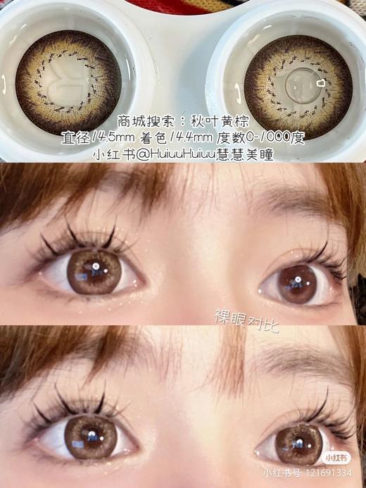 【店主实拍】秋叶黄棕-14.5mm【年抛 0-1000度 含525/575】 商品图2