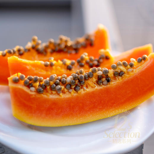 雷州产树上熟冰糖木瓜 老树果 顺丰快递 商品图2