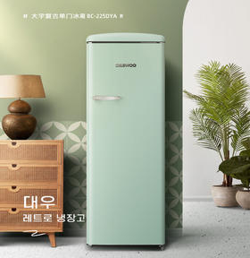 DAEWOO韩国大宇电冰箱家用双开门冷柜节能静音宿舍用复古小型冰箱