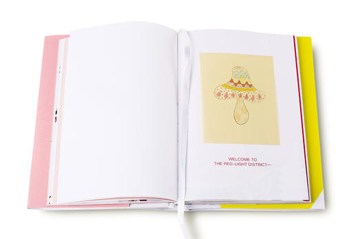 (仓发) 力比多记/重庆出版社，重庆出版集团/杨昌溢，@飞机的坏品位/9787229115975 商品图4