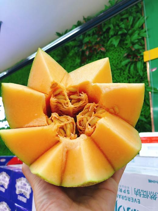 海南晓蜜瓜一个（拼团） 商品图1