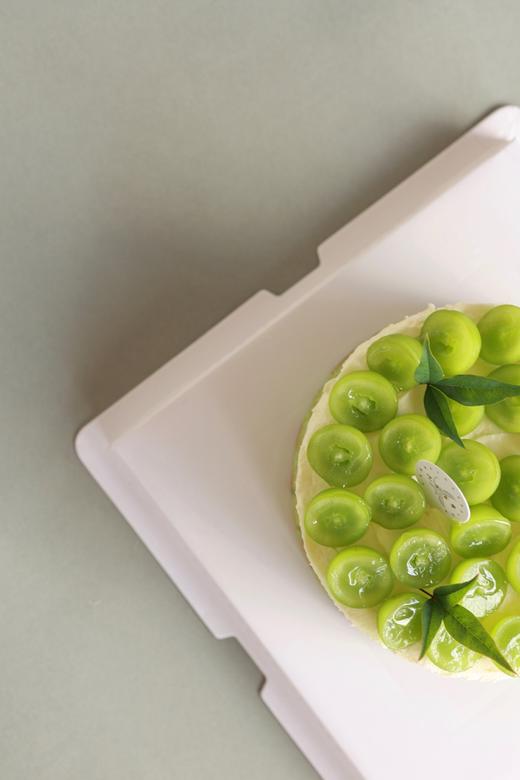 青提开心果巴斯克 商品图3