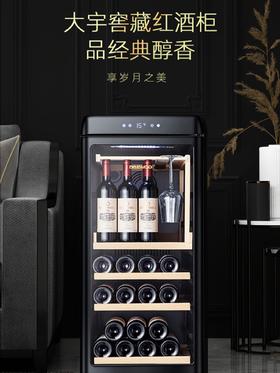 DAEWOO韩国大宇红酒柜家用客厅恒温小型冰吧葡萄酒柜冷藏茶叶柜