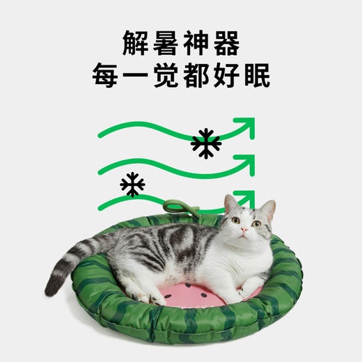 未卡西瓜西柚凉凉冰垫宠物降温冰窝狗狗凉席睡眠垫子夏季猫咪用品 商品图1