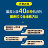 基于运动功能的选择性拉伸 运动损伤 运动康复书籍 拉伸手法 手法* 肌肉松解 软组织放松 商品缩略图3