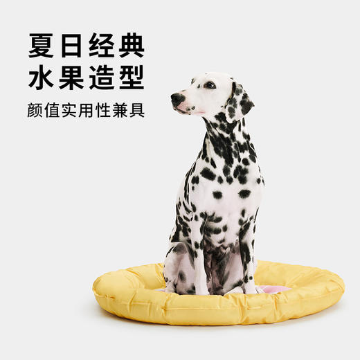 未卡西瓜西柚凉凉冰垫宠物降温冰窝狗狗凉席睡眠垫子夏季猫咪用品 商品图4