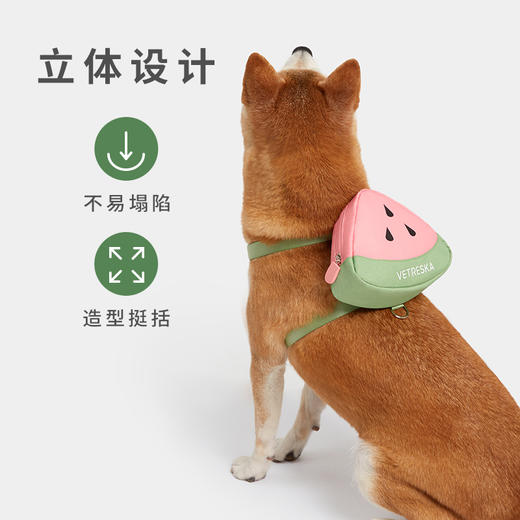 未卡西瓜仙人掌牵引绳背包中小型宠物猫咪狗狗背心式防走丢牵引绳 商品图3