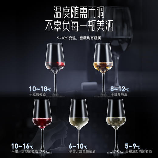 DAEWOO韩国大宇恒温红酒柜家用商用大容量葡萄酒柜冰吧冷藏茶叶柜 商品图3