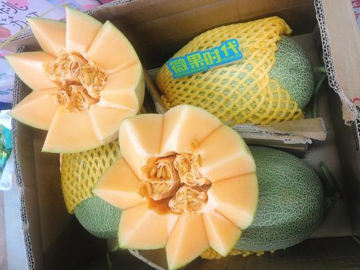 海南晓蜜瓜一个（拼团） 商品图0