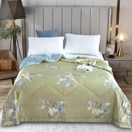 【欧典梦娜】沁园春润肤蚕丝被 商品图1