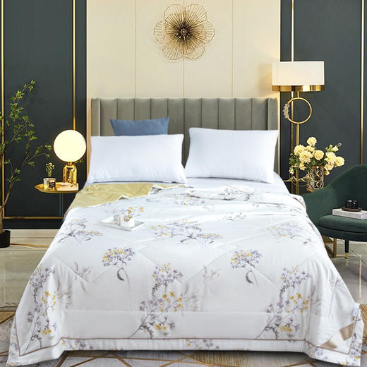 【欧典梦娜】沁园春润肤蚕丝被 商品图6