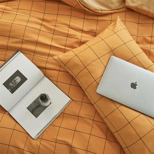 【欧典梦娜】水洗色织提花四件套 商品图2