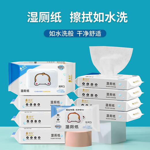 【一冲即走 方便又卫生】800抽湿厕纸男女性洁阴私处清洁护理擦屁股抑制菌洁厕湿巾纸可降解冲马桶 商品图3