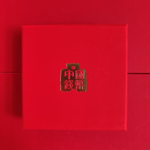 【致敬逆行者】40mm抗疫镀银纪念章（带礼盒） 商品图3