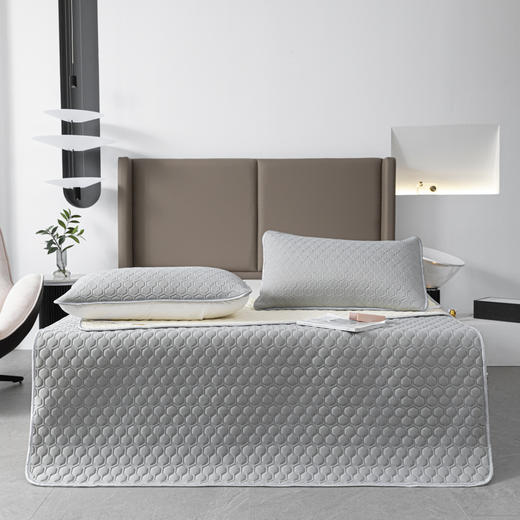 【欧典梦娜】冰皮云母凉感丝乳胶席 商品图0