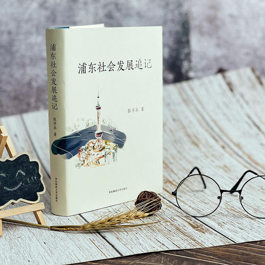浦东社会发展追记 浦东新区开发开放 张学兵著 精装 商品图4