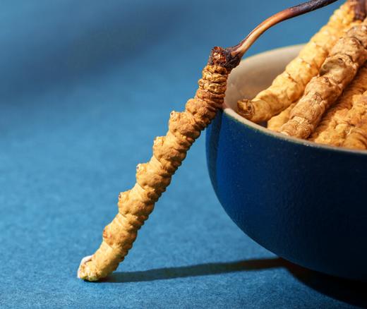 【干冬虫夏草】干度98%、虫体饱满、干嚼不苦、天然营养 商品图3