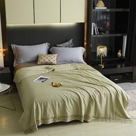 【欧典梦娜】查尔斯蚕丝美肤被 商品图6