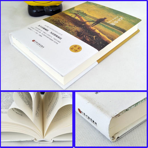 精装《瓦尔登湖》全译本世界经典文学小说名著初中生高中学生推荐书籍外国经典小说全中文完整版图书课外知识读物正版书籍（限量500本） 商品图3