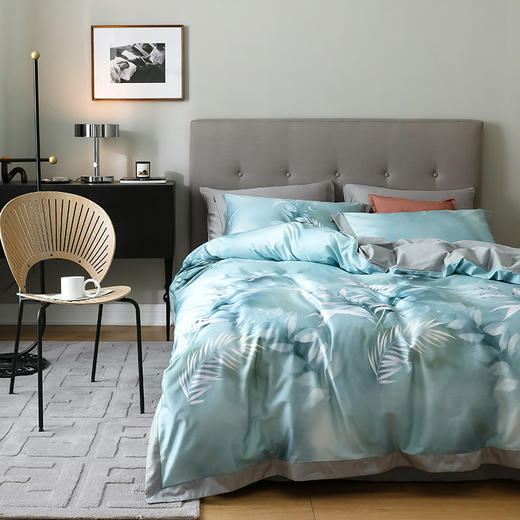 【欧典梦娜】伊美莎天丝四件套 商品图5