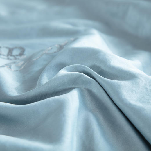 【欧典梦娜】奢想真丝美眠被 商品图2