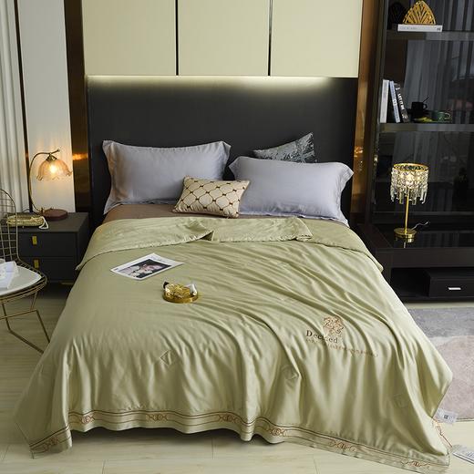 【欧典梦娜】查尔斯蚕丝美肤被 商品图1