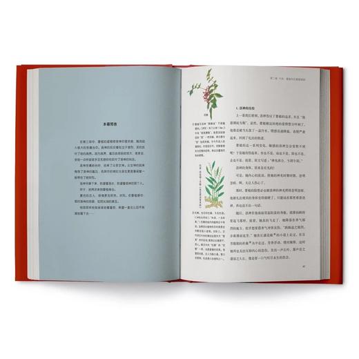 洛神赋图：曹植的爱情 | 国宝名画《洛神赋图》——河南美术出版社 商品图4