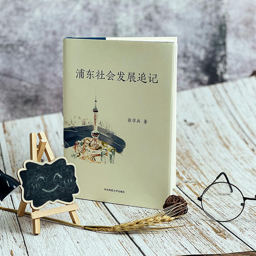 浦东社会发展追记 浦东新区开发开放 张学兵著 精装 商品图3