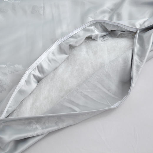 【欧典梦娜】洛菲抑菌蚕丝被 商品图8