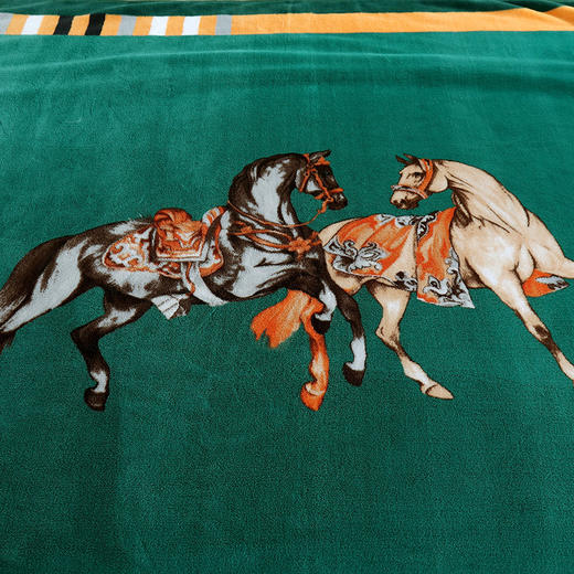 【欧典梦娜】多功能巴洛午休毯 商品图2