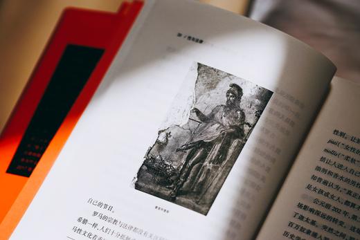 麦读译丛丨《性与法律：从古希腊到二十一世纪》（令人迷醉也令人惊叹的冒险之旅） 商品图10