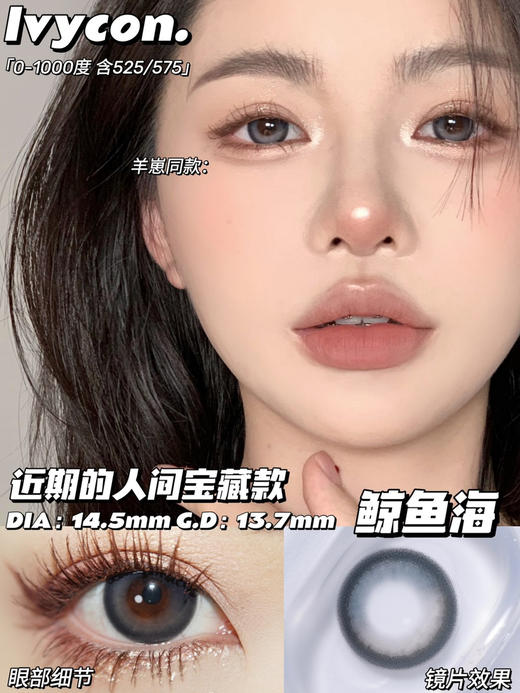 lvycon鲸鱼海【年抛款】大直径14.5mm|淡蓝色| 商品图0