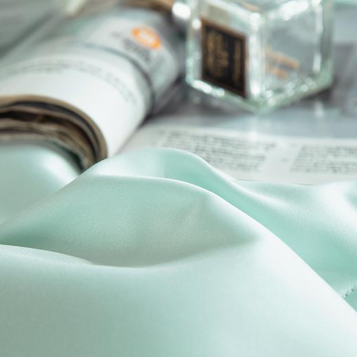 【欧典梦娜】倩影茶多酚乳胶被 商品图5