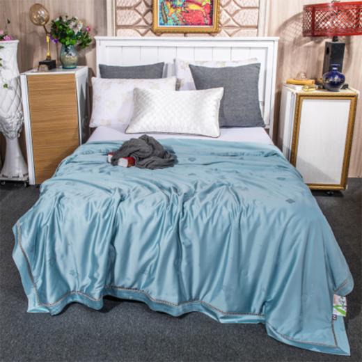 【欧典梦娜】四叶草蚕丝养肤被 商品图0