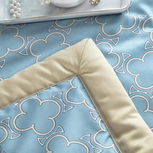 【欧典梦娜】格调水洗真丝夏被 商品图4