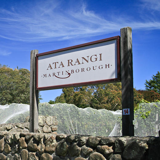 新西兰Ata Rangi新天地酒园时空长相思干白葡萄酒 750ml 原瓶进口 商品图2