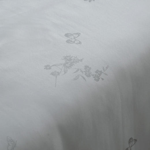 【欧典梦娜】洛菲抑菌蚕丝被 商品图2