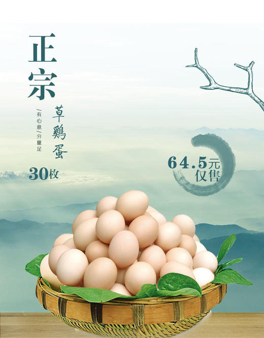 正宗草鸡蛋30枚 绿色健康 营养美味 商品图0