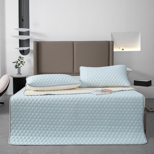 【欧典梦娜】冰皮云母凉感丝乳胶席 商品图3