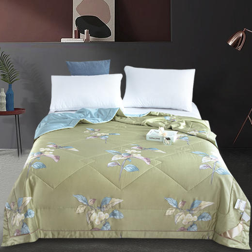 【欧典梦娜】沁园春润肤蚕丝被 商品图0