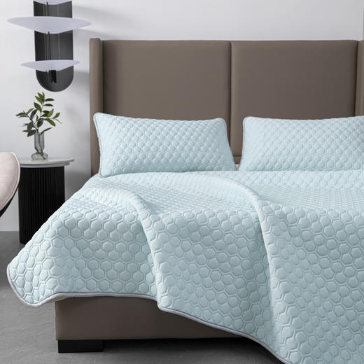 【欧典梦娜】冰皮云母凉感丝乳胶席 商品图4