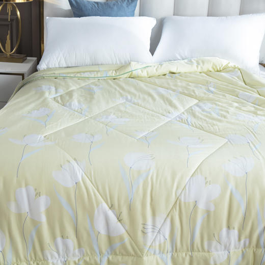 【欧典梦娜】艾米玻尿酸美颜被 商品图2