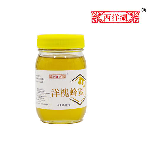 洋槐蜂蜜  500g*2瓶 商品图0