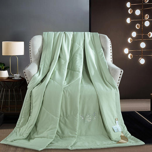 【欧典梦娜】贝拉燕窝蛋白美肤被 商品图0