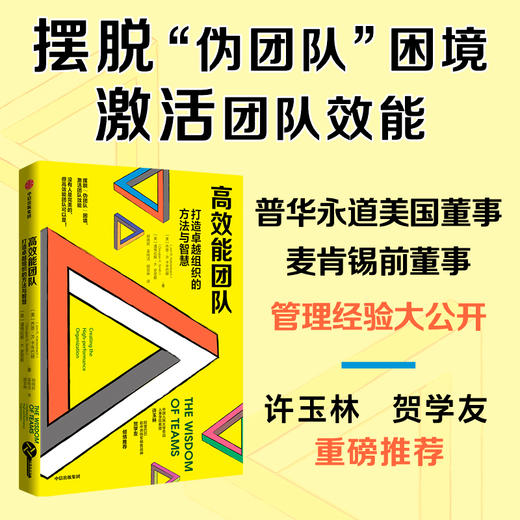 中信出版 | 高效能团队：打造卓越组织的方法与智慧 乔恩·R.卡岑巴赫等著 商品图1
