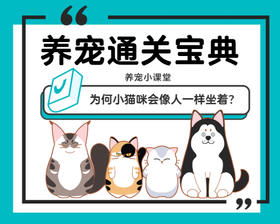 为何小猫咪会像人一样坐着？