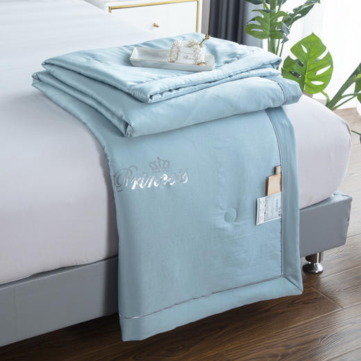 【欧典梦娜】奢想真丝美眠被 商品图0