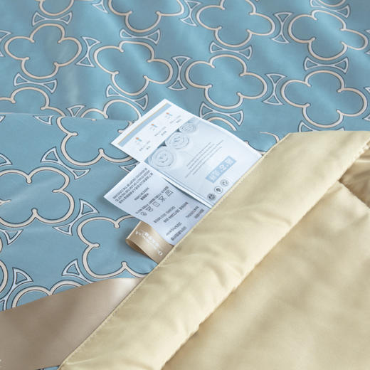 【欧典梦娜】格调水洗真丝夏被 商品图5