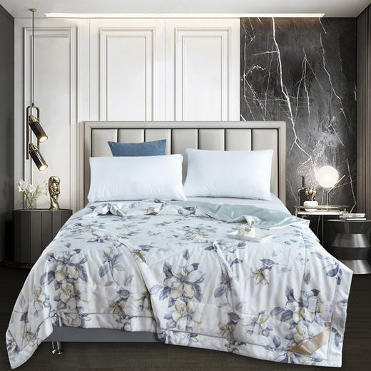 【欧典梦娜】沁园春润肤蚕丝被 商品图9