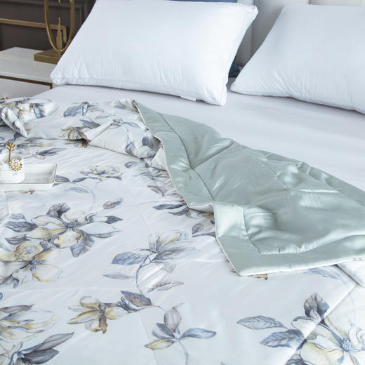 【欧典梦娜】沁园春润肤蚕丝被 商品图2